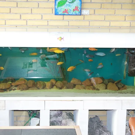 Danhostel Szálloda 4*